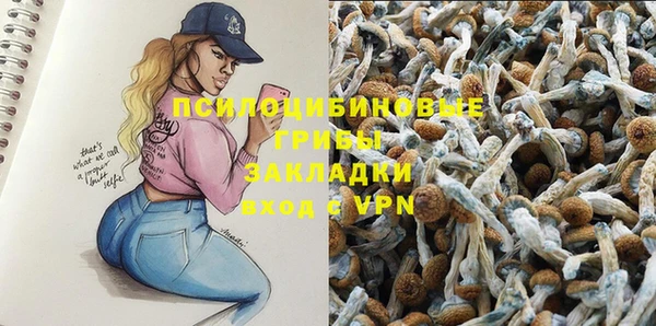 сатива Краснослободск