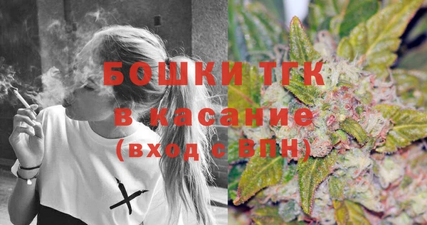 сатива Краснослободск